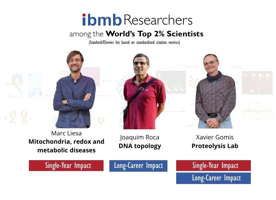 IBMB researchers among the world top 2% scientists in the Standford list